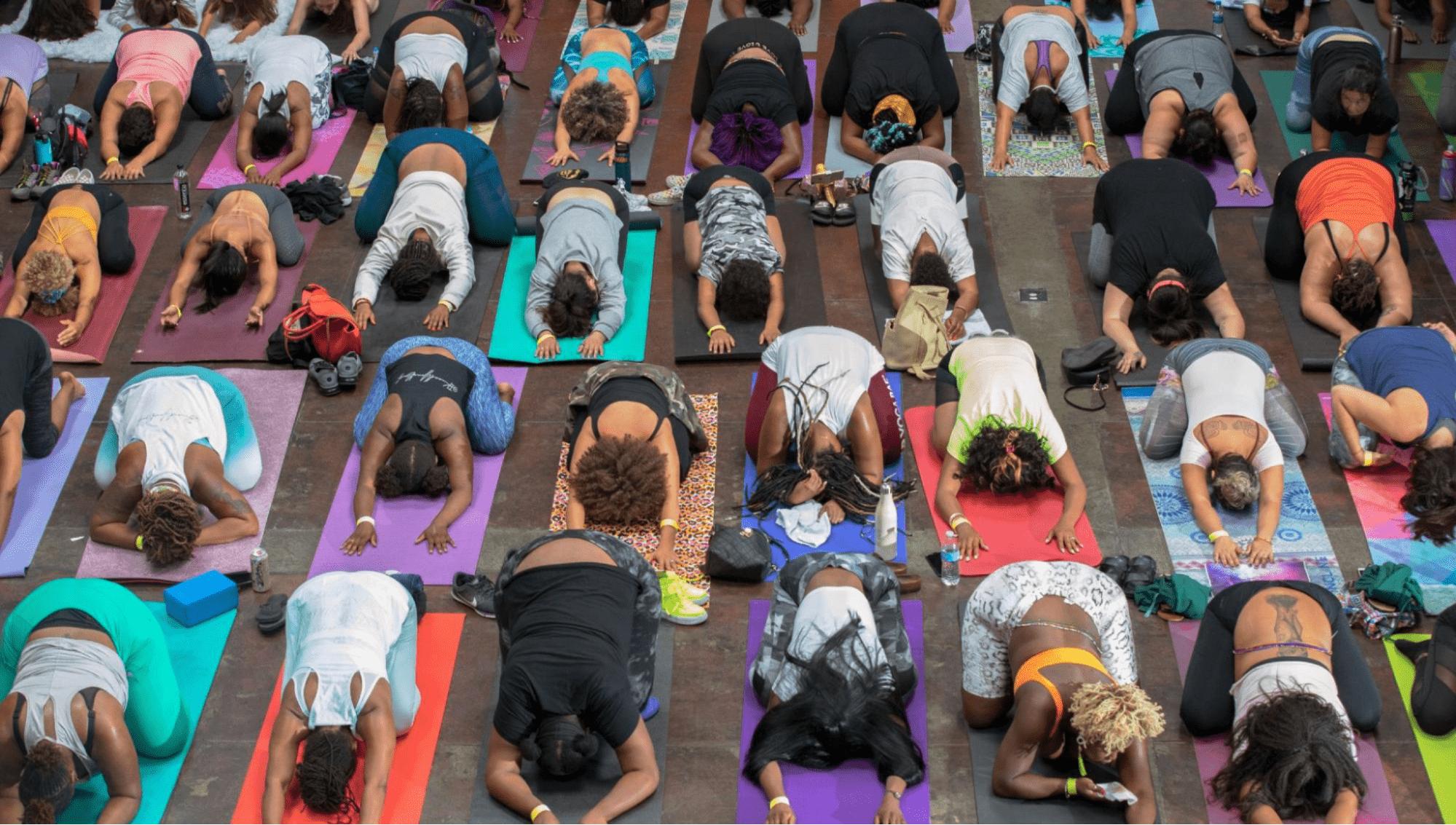 A group of yoga participants stretch on mats