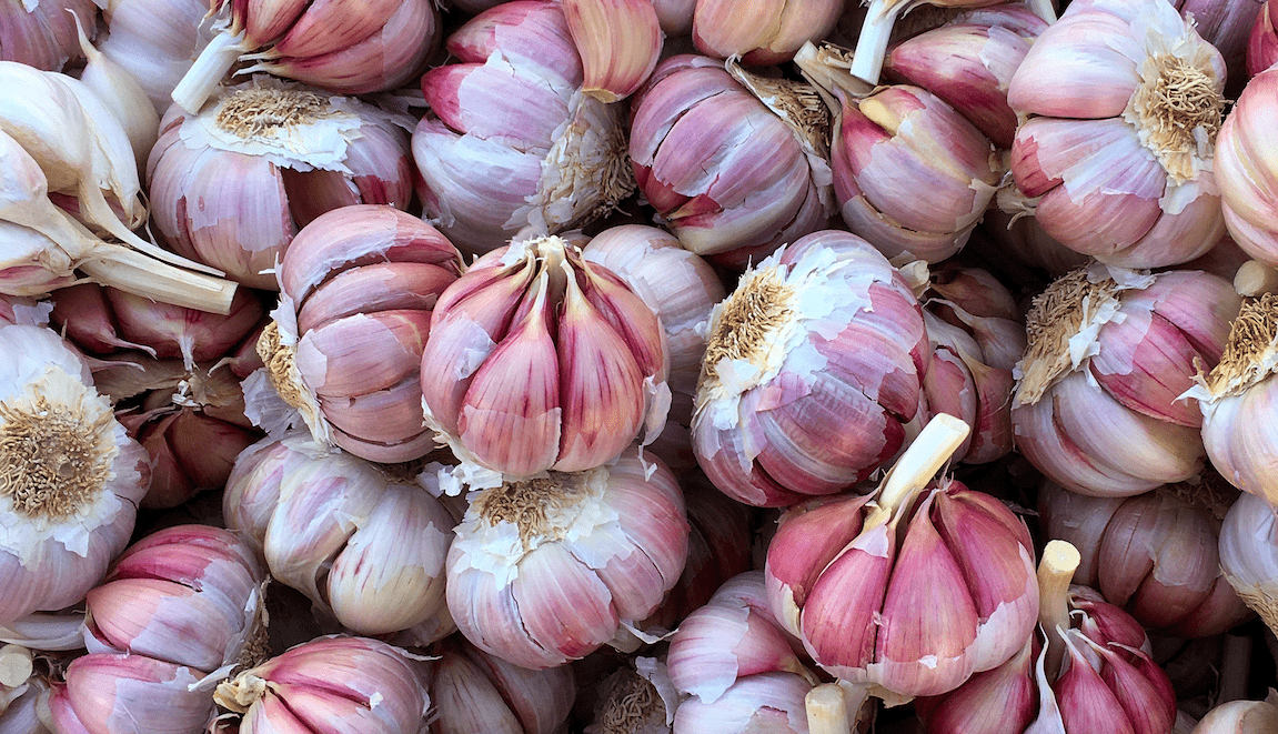 4 Lessons from the Gilroy Garlic Festival