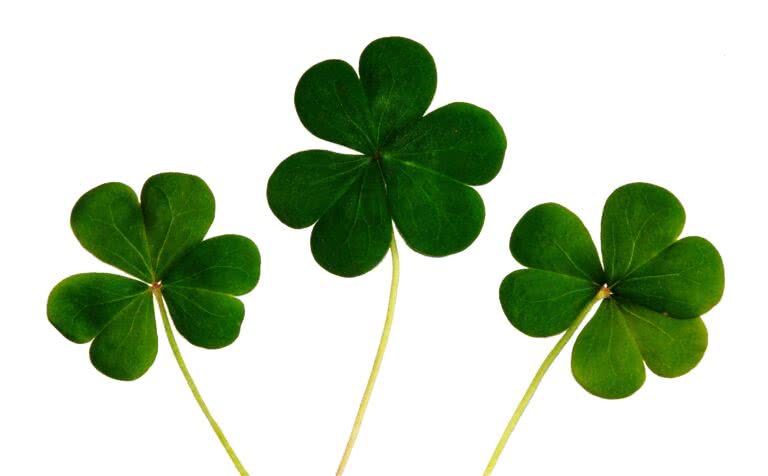 25 Ideas to Celebrate St. Patrick's Day in the US