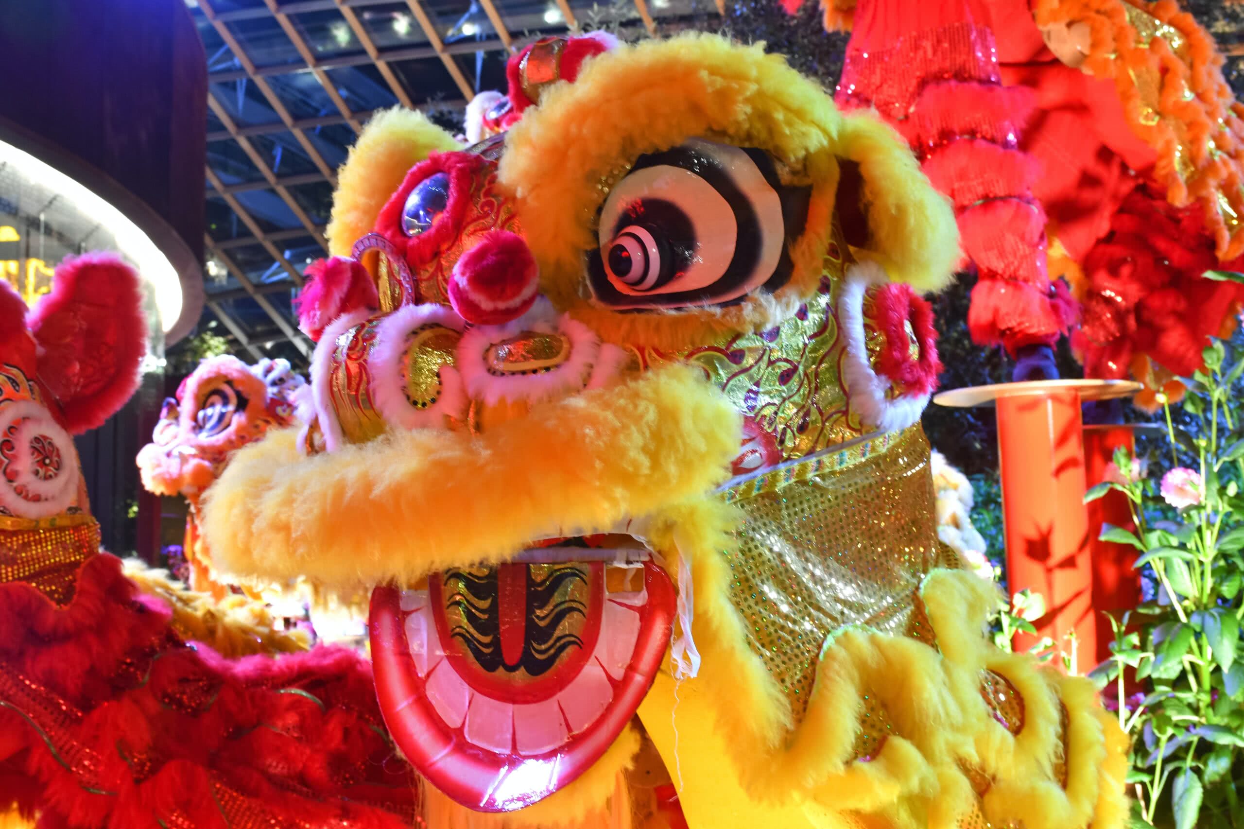 Photos: Lunar New Year celebrations