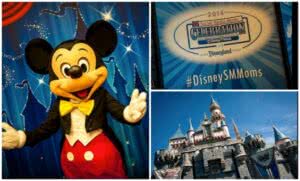 Disney smm