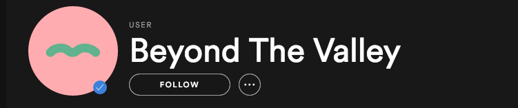 Beyond the Valley Spotify