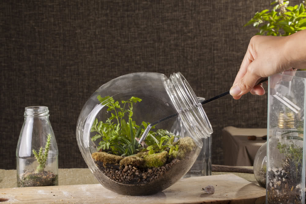 terrarium things to do in london this weekend