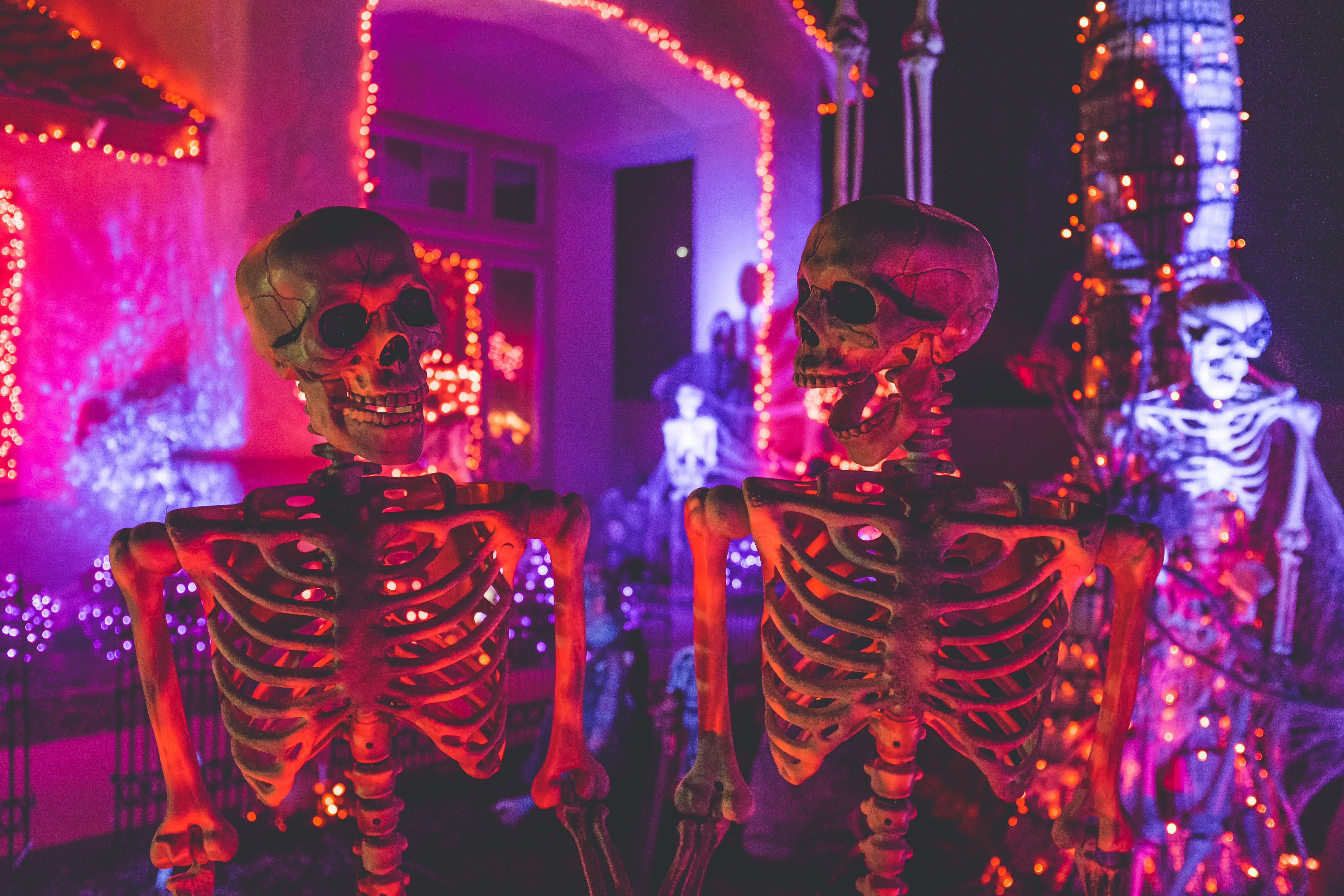 Two skeletons at a Halloween party