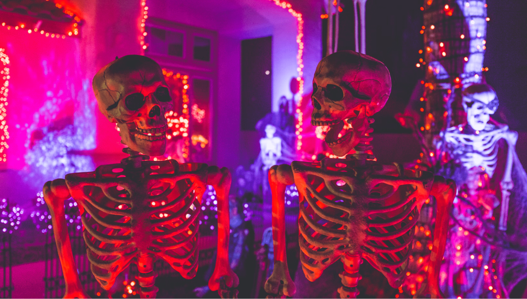 Close-up of skeleton decorations outside a property in the dark