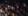 crowd laughing at show
