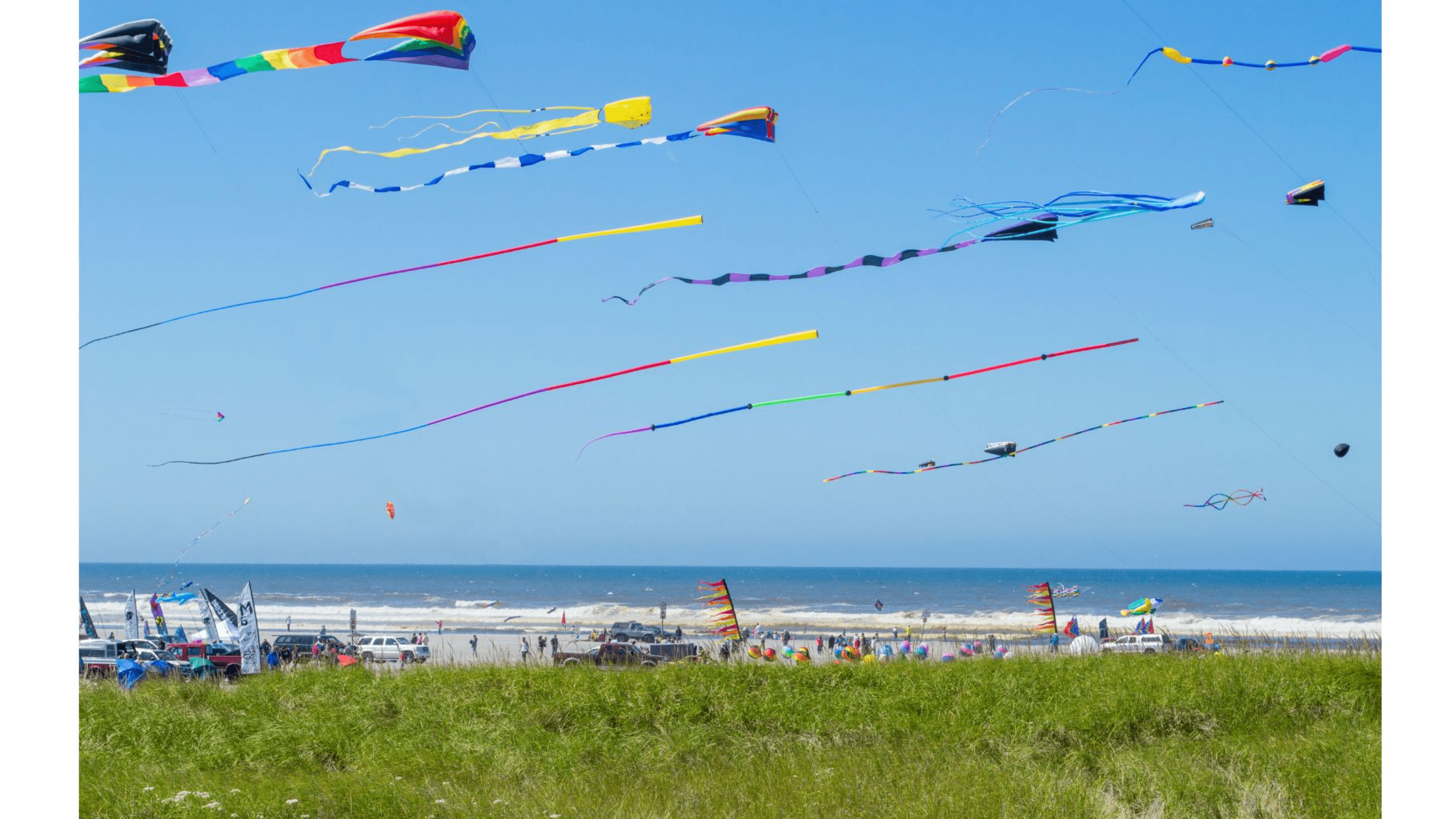 Kites flying together at a festival