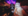 Host a murder mystery party Source: