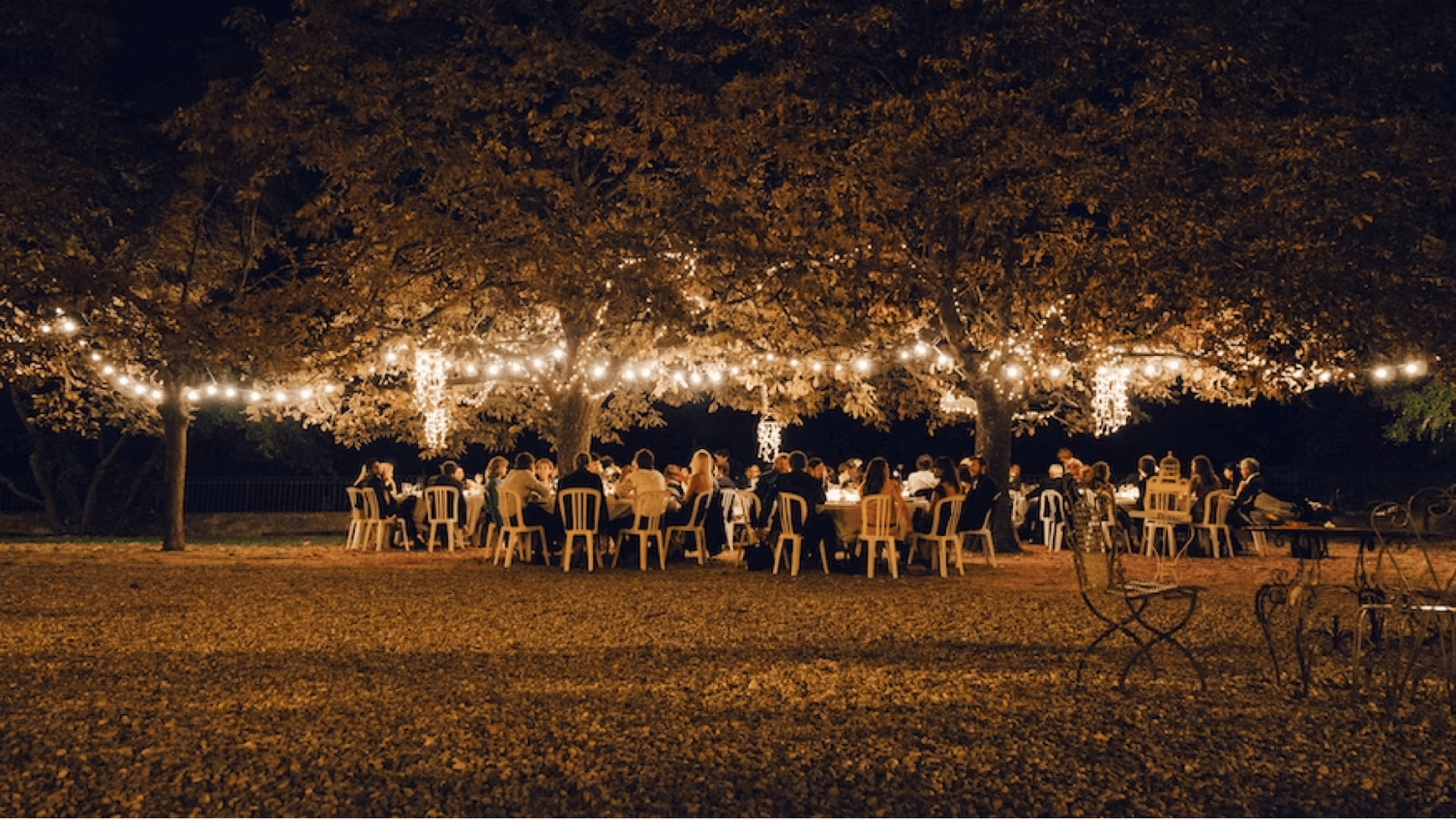 People sitting at table underneath a tree at night