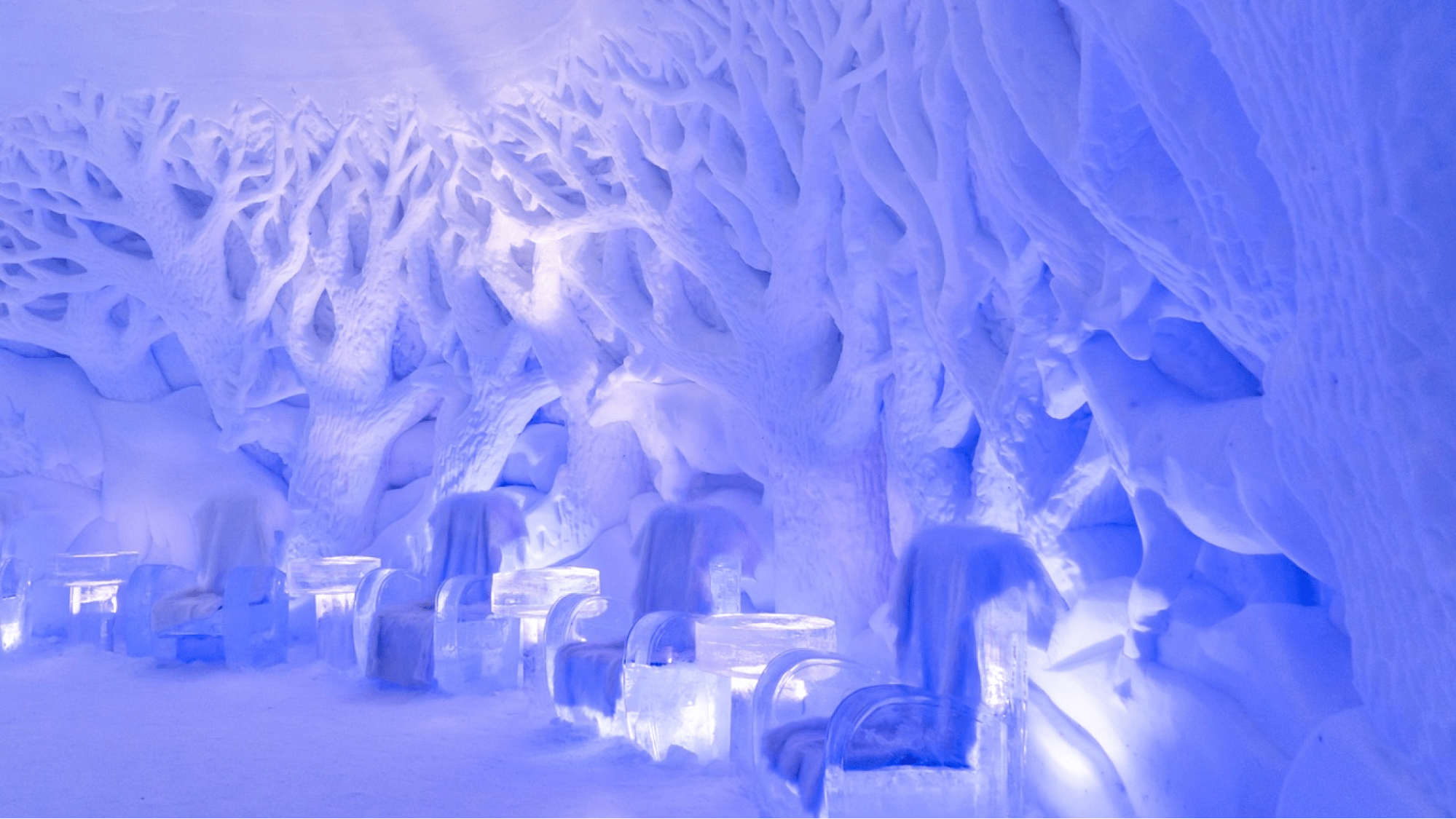 Ice bar party
