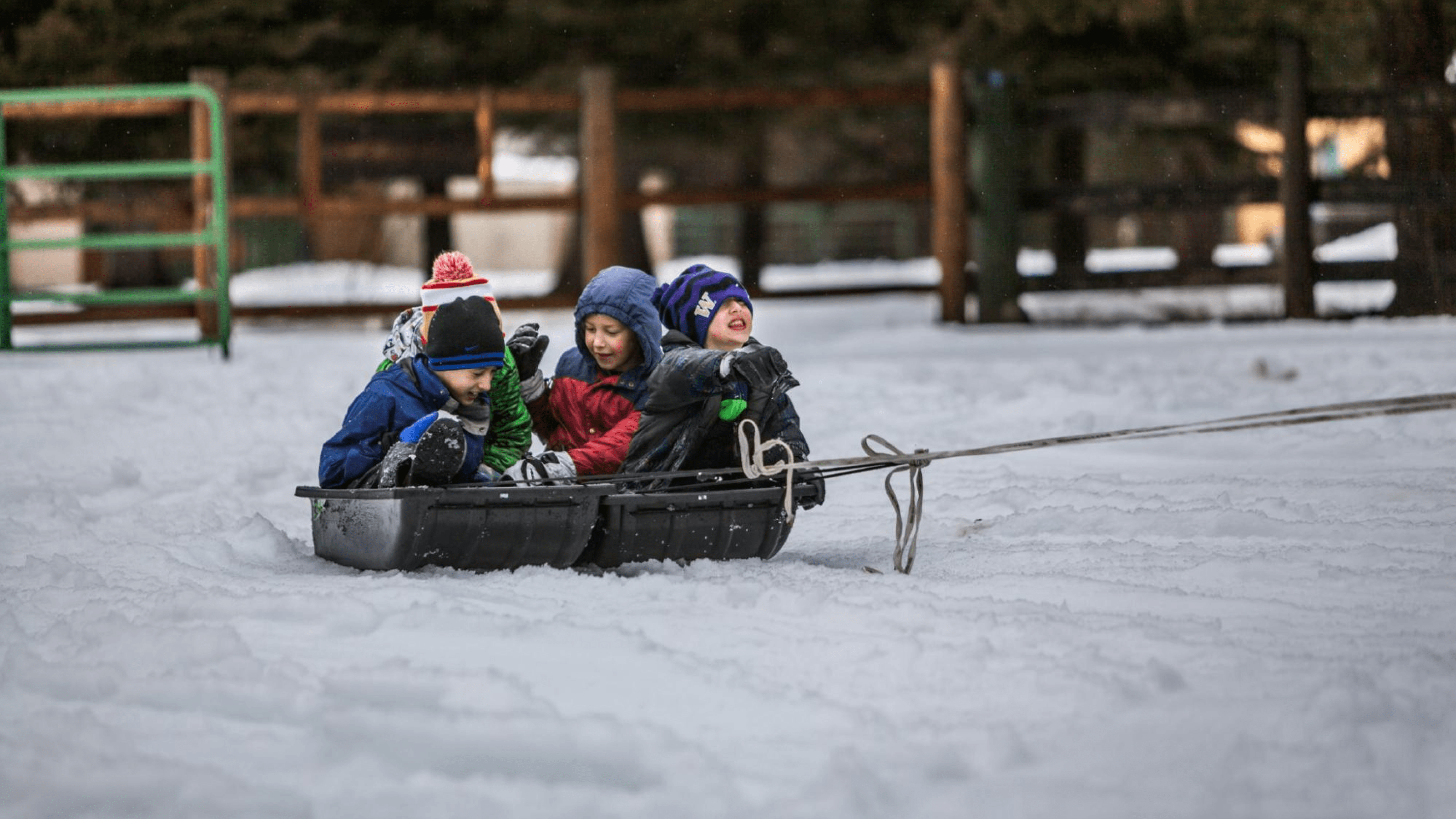 Children on a sledge