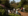 people sitting in garden