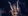 woman dressed in gold holding up arms